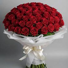 Букет 101 Красная роза Блэк Мэджик в Тимофеевке