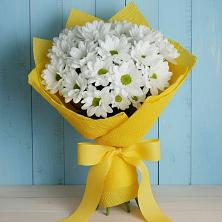 Букет цветов из:  Хризантемы в Тимофеевке
