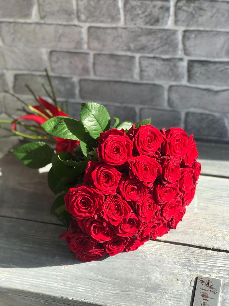 Букет Красные розы Фридом в Тимофеевке