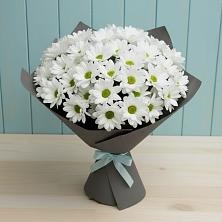 Букет цветов из:  Хризантемы в Тимофеевке