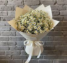Букет цветов из:  Ромашки #REPLACE_PRED# Тимофеевке