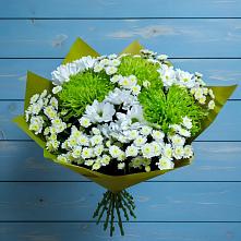 Букет цветов из:  Хризантемы в Тимофеевке