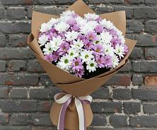 Букет цветов из:  Хризантемы #REPLACE_PRED# Тимофеевке