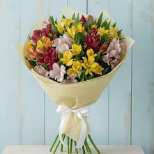 Букет цветов из:  Альстромерии в Тимофеевке