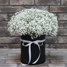 Цветочная композиция из Гипсофила в шляпной коробке в Тимофеевке
