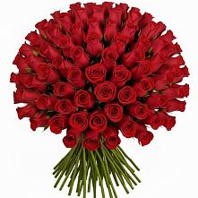 Букет Красные розы Чери Лав в Тимофеевке