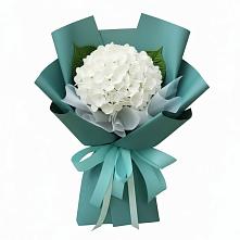 Букет цветов из:  Гортензия в Тимофеевке